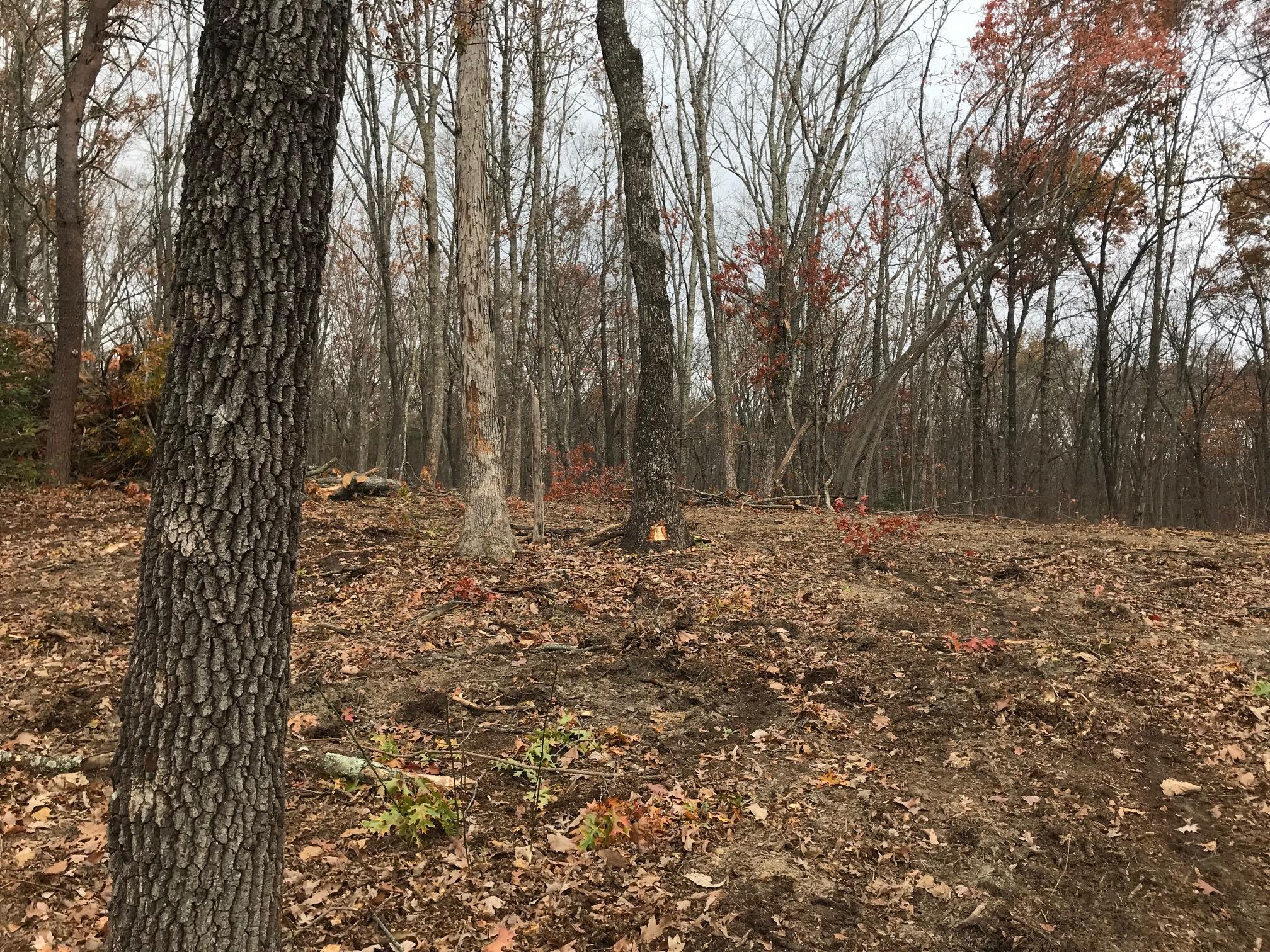 1 White Oak Swamp Road, Unit 1 Dunlap, TN 37327 - Photo 12 of 16 WOS 11