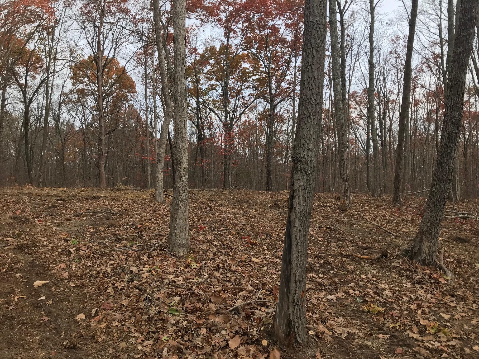 1 White Oak Swamp Road, Unit 1 Dunlap, TN 37327 - Photo 13 of 16 WOS 13