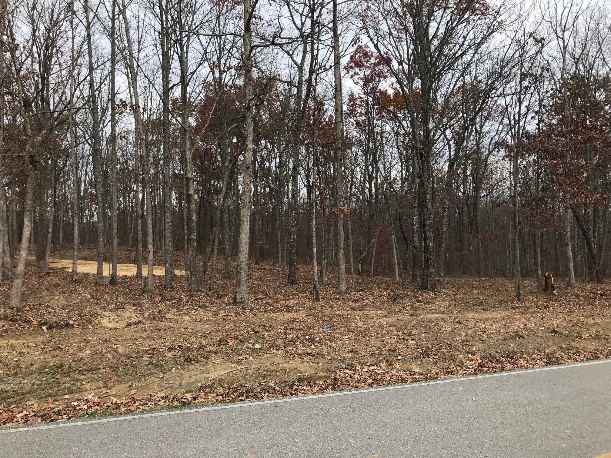 1 White Oak Swamp Road, Unit 1 Dunlap, TN 37327 - Photo 7 of 16 WOS 5