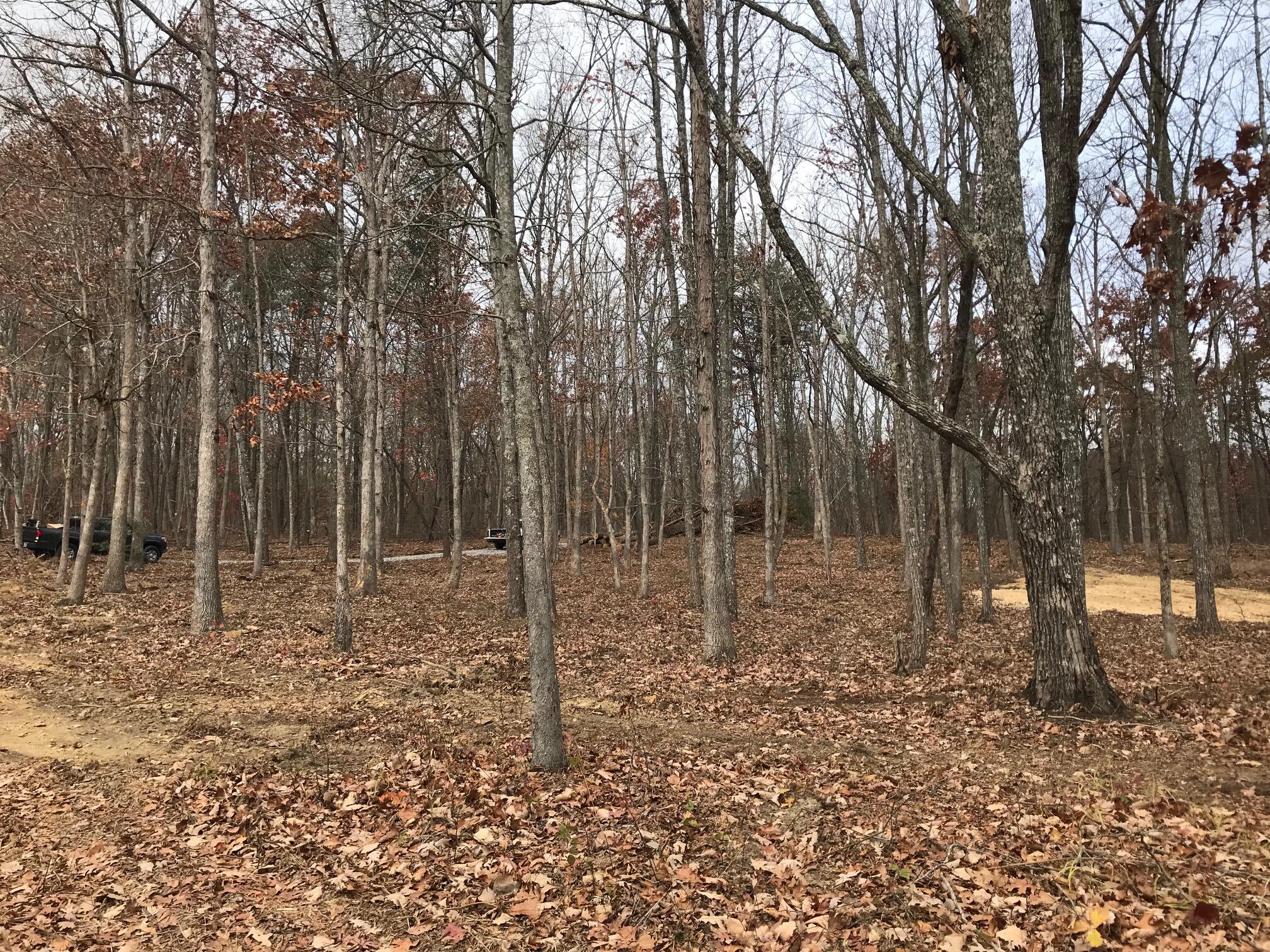 1 White Oak Swamp Road, Unit 1 Dunlap, TN 37327 - Photo 8 of 16 WOS 6