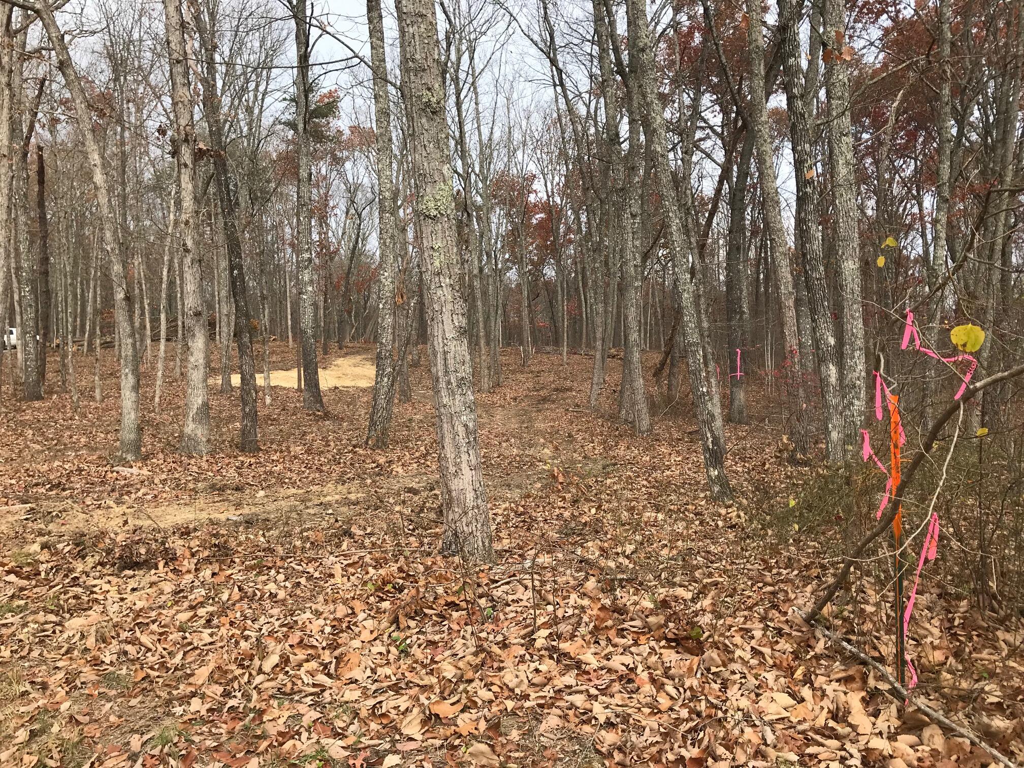 1 White Oak Swamp Road, Unit 1 Dunlap, TN 37327 - Photo 10 of 16 WOS 8