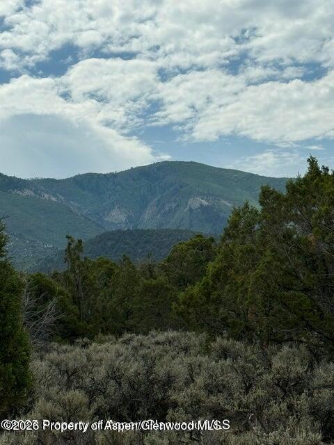 2285 Housetop Mountain Road Parachute, CO 81635 - Photo 6 of 7 22851