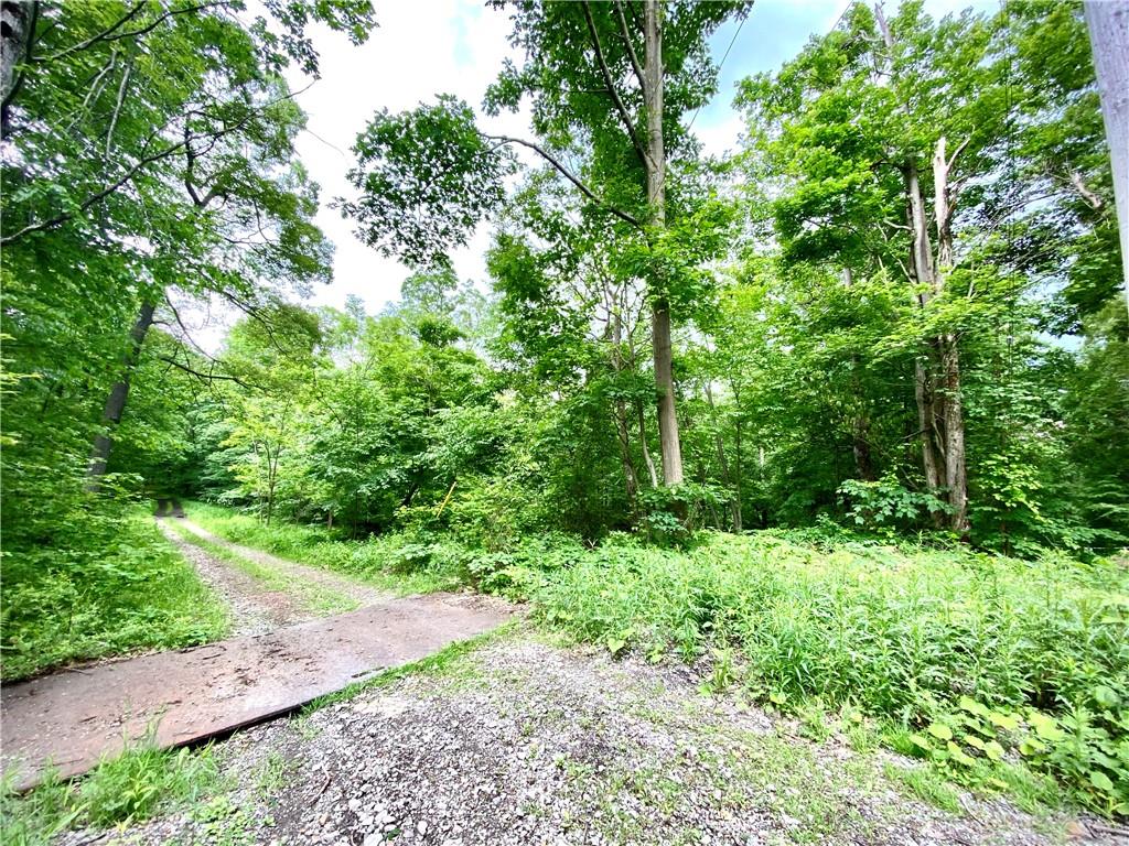 Lot 399 Sun Valley Road Boswell, PA 15531 - Photo 2 of 5 Gallery Image 2