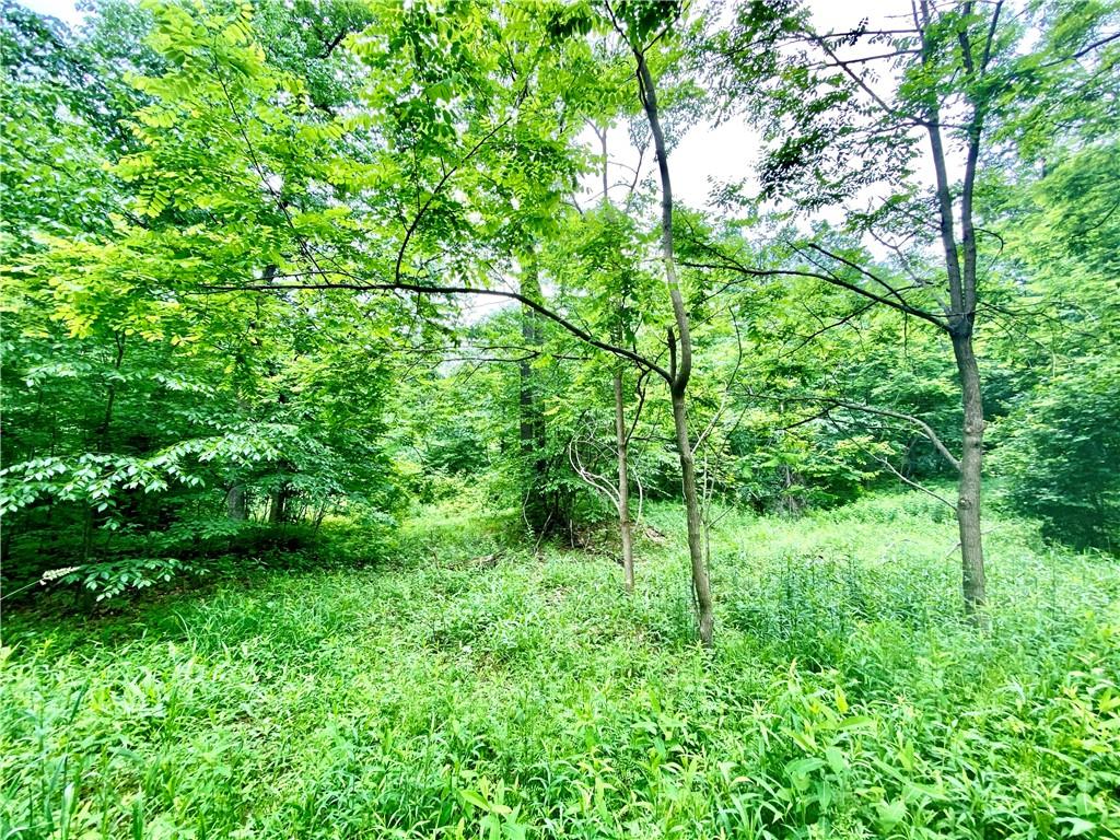 Lot 399 Sun Valley Road Boswell, PA 15531 - Photo 4 of 5 Gallery Image 4