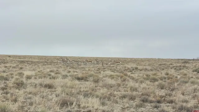 a view of wooden floor and white wall