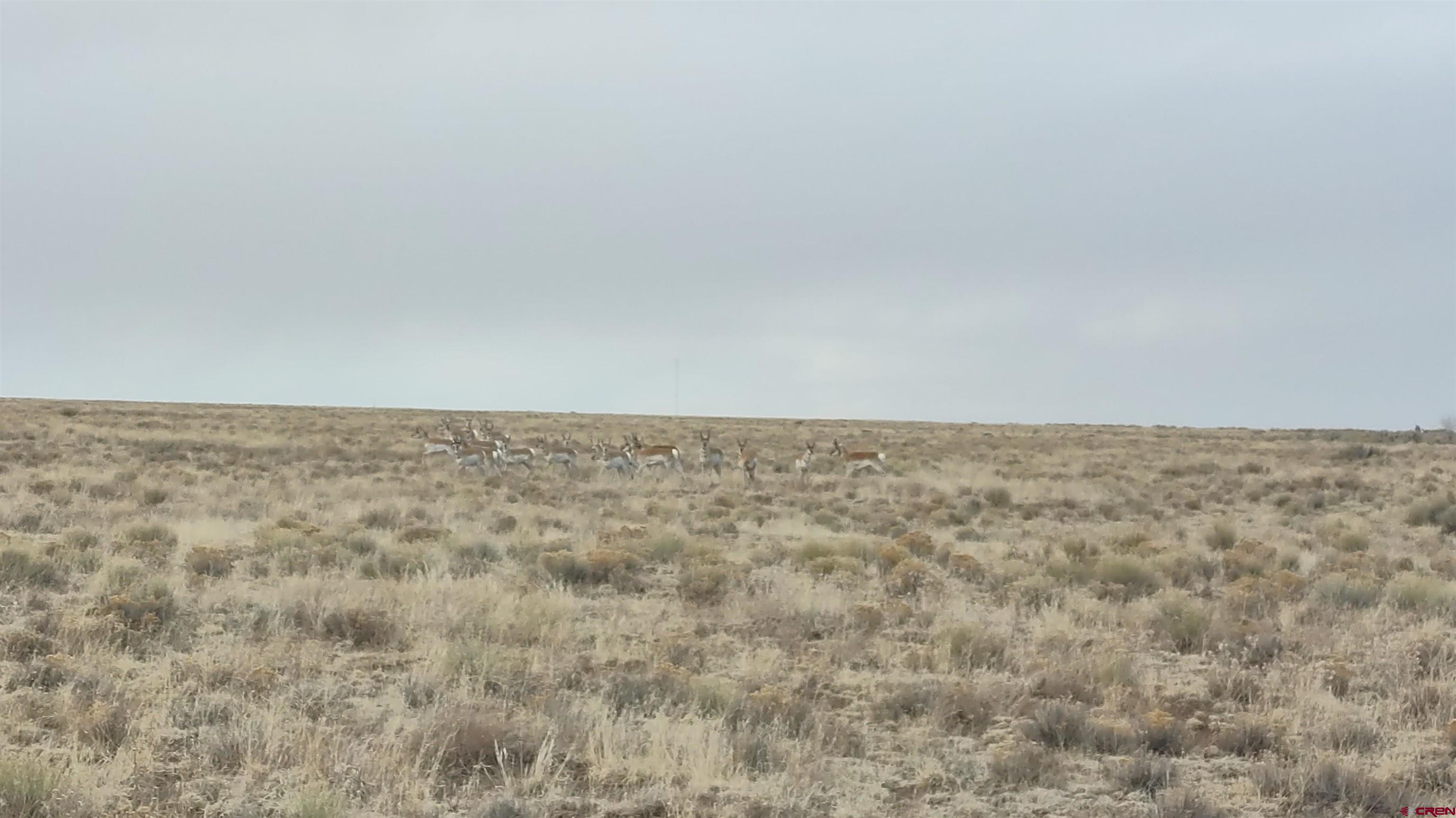 Tbd Tbd Co Road La Jara, CO 81140 - Photo 13 of 18 a view of wooden floor