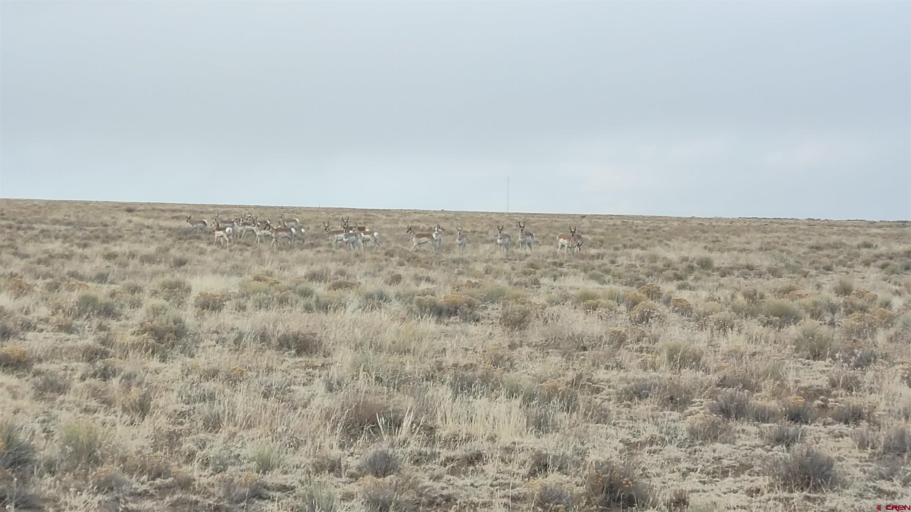 Tbd Tbd Co Road La Jara, CO 81140 - Photo 14 of 18 a view of wooden floor and white wall