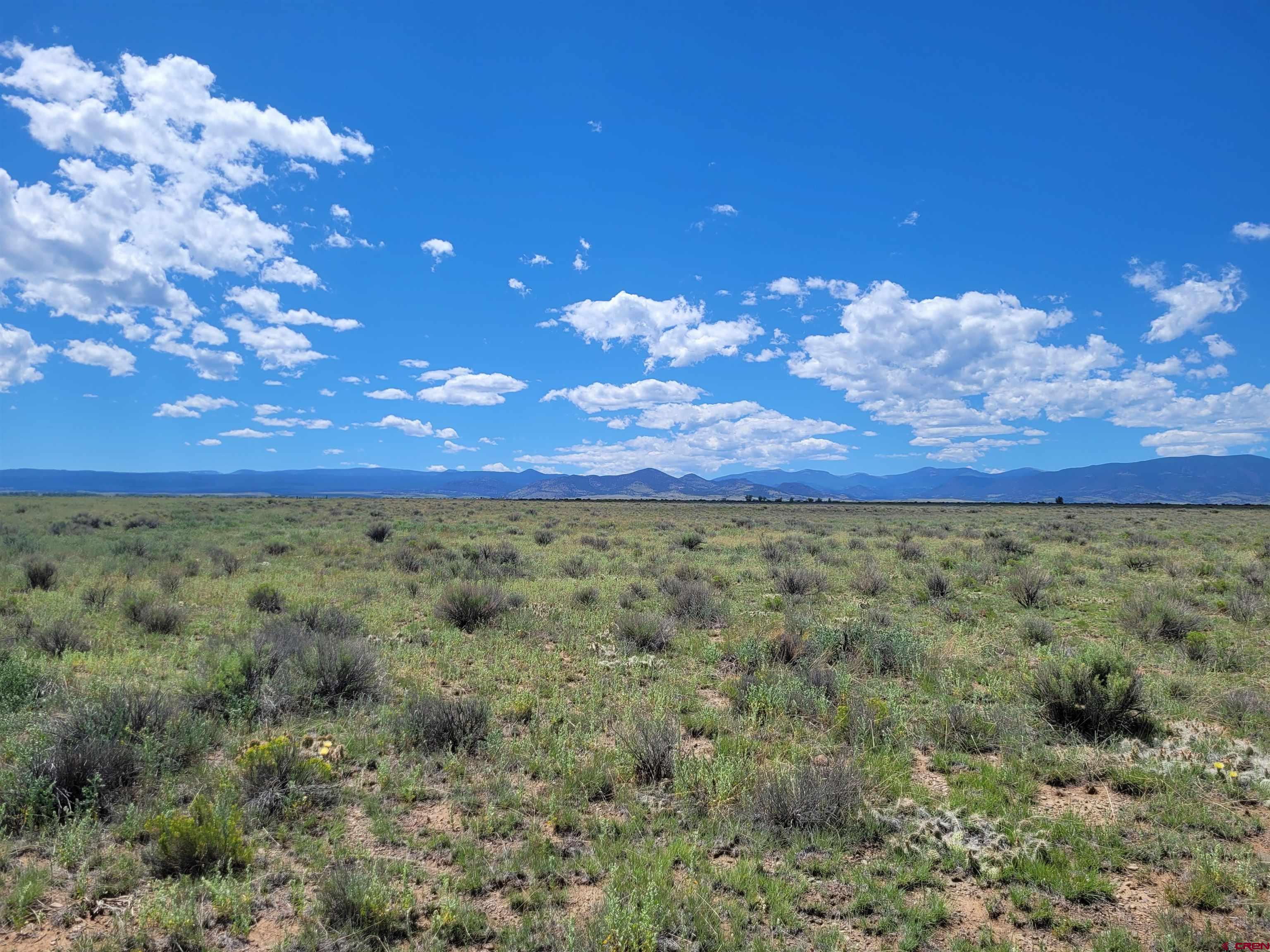 Tbd Tbd Co Road La Jara, CO 81140 - Photo 2 of 18 a view of a bunch of trees