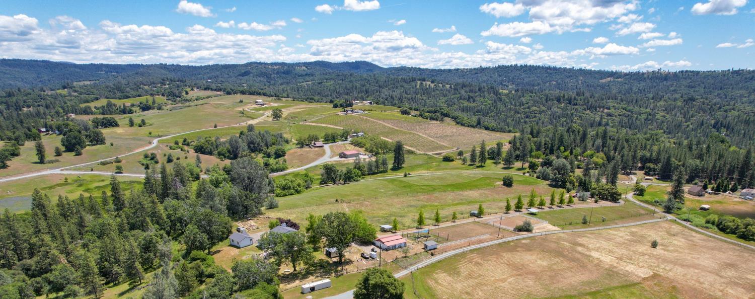 3081 Little Spur Road Somerset, CA 95684 - Photo 7 of 83 Amazing vineyard views. Enjoy sunrise and sunset views