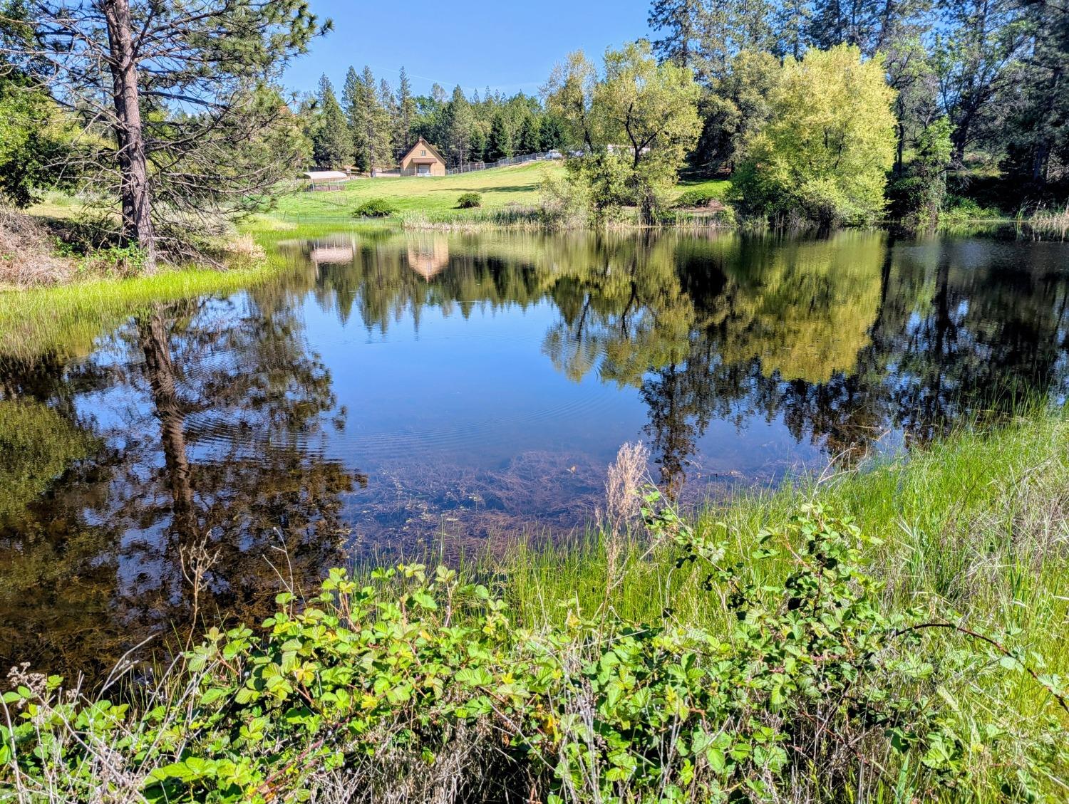 3081 Little Spur Road Somerset, CA 95684 - Photo 8 of 83 shared Quail Lake Frontage