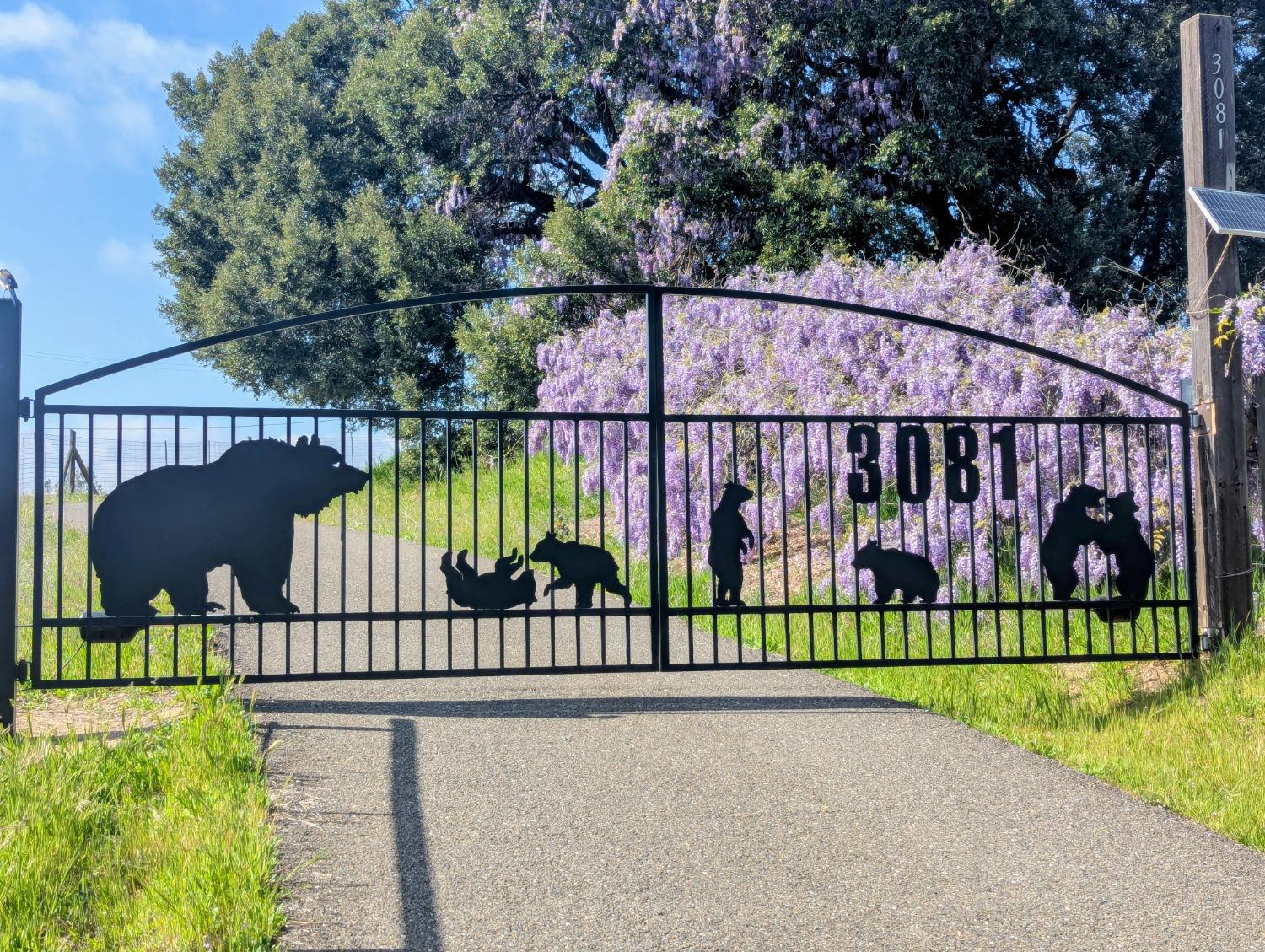 3081 Little Spur Road Somerset, CA 95684 - Photo 10 of 83 Gated Entrance