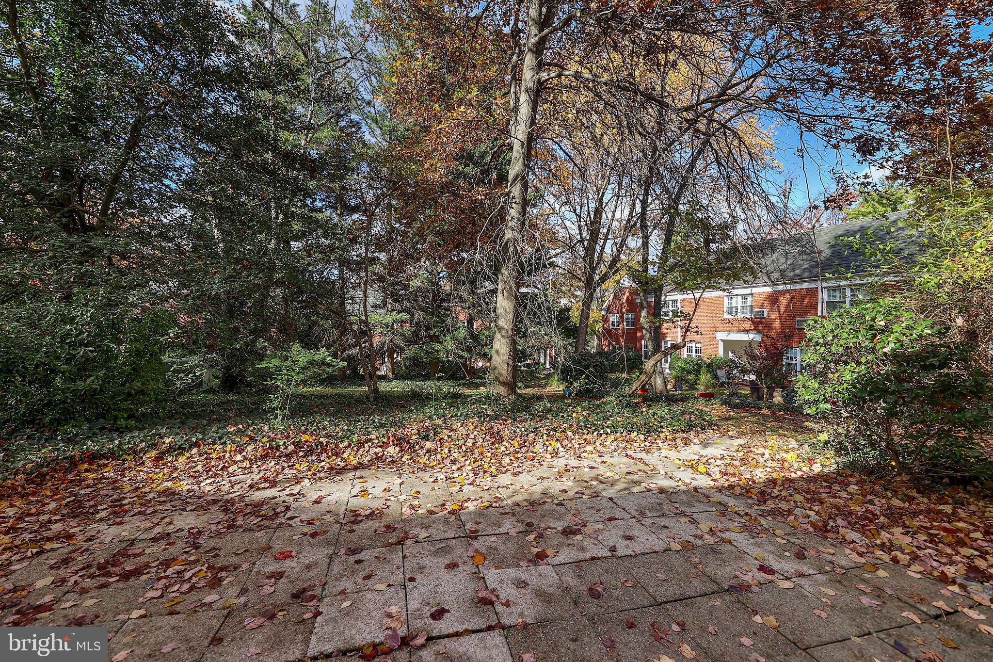 3710 Gunston Road, Unit 920 Alexandria, VA 22302 - Photo 14 of 15 Patio Backs to Private Courtyard