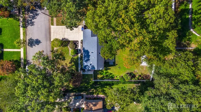 a view of a city with lush green forest
