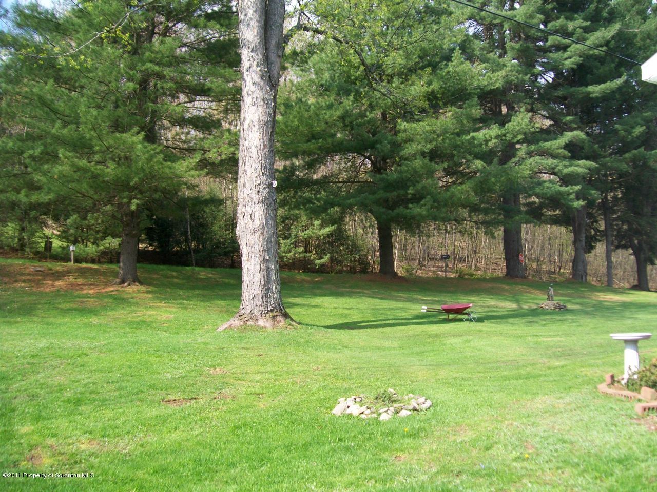 29 Robbs Road Damascus, PA 18415 - Photo 12 of 15 YARD