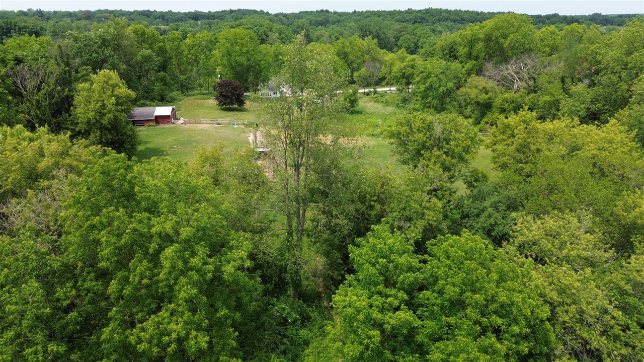 17281 Ely Road Manchester, MI 48158 - Photo 60 of 90