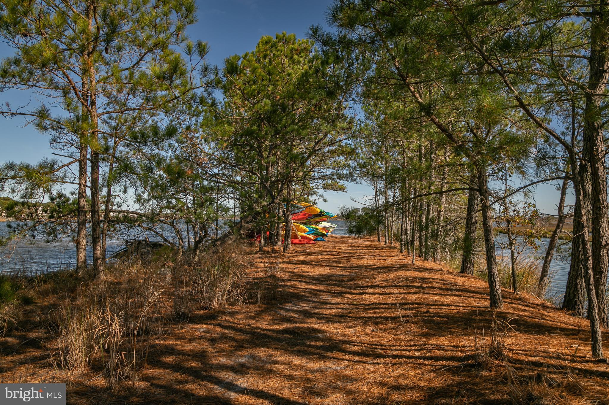 614 Bethany Loop Bethany Beach, DE 19930 - Photo 85 of 92 ...to the Salt Pond