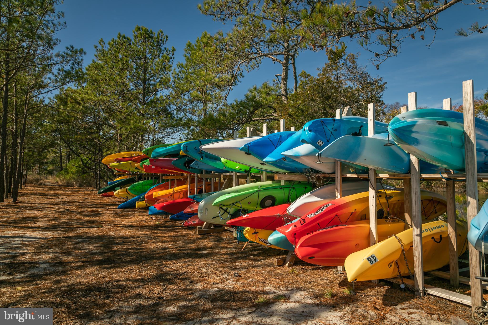 614 Bethany Loop Bethany Beach, DE 19930 - Photo 87 of 92 Kayak storage