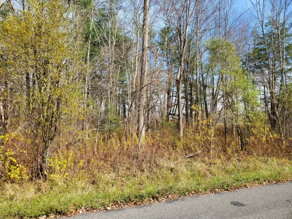 $239,000 | Brynmoor Court, Unit WL 556, Goshen, CT 06756