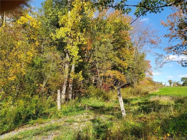 a view of a yard with a tree
