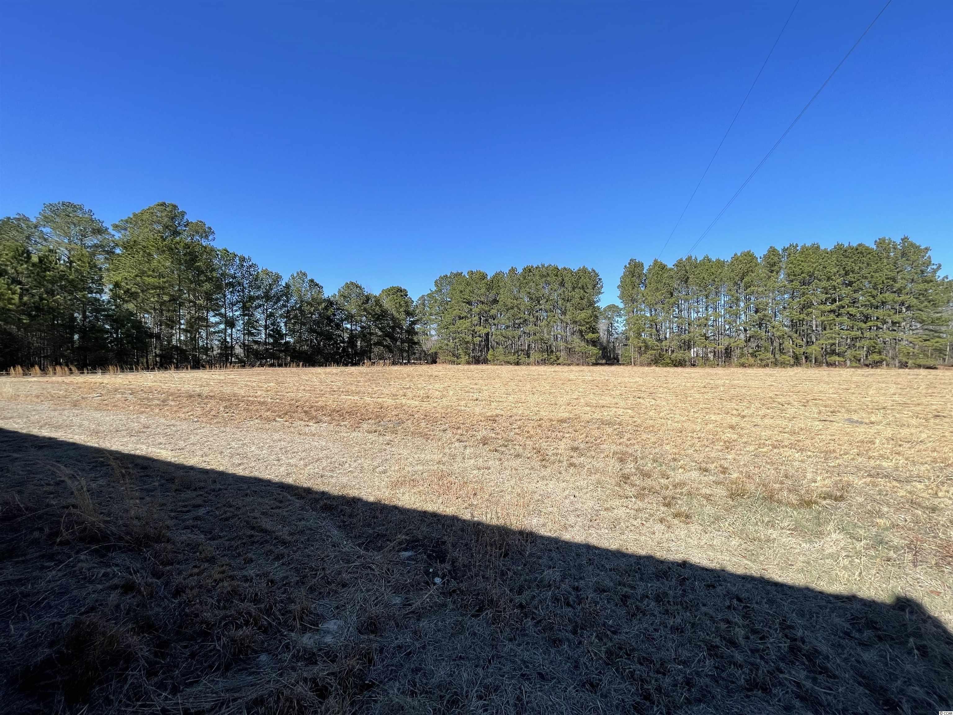 471 Dudley Road Latta, SC 29565 - Photo 17 of 40 Gallery Image 17