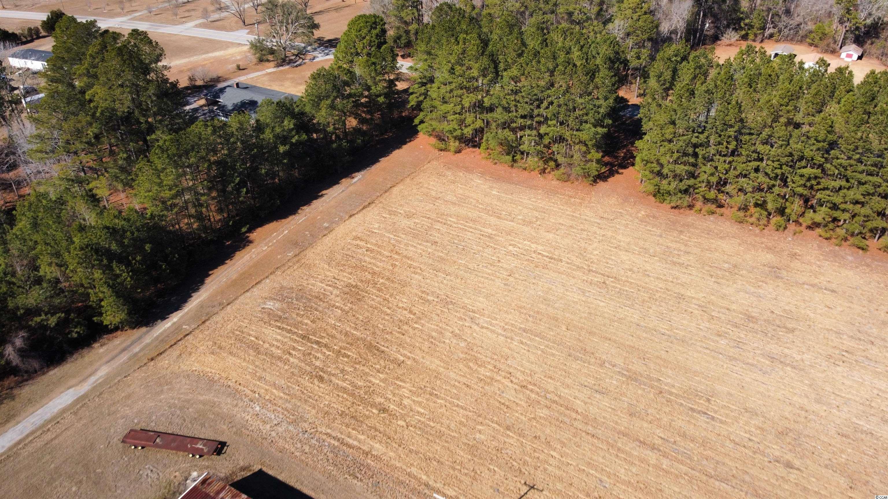 471 Dudley Road Latta, SC 29565 - Photo 8 of 40 Gallery Image 8