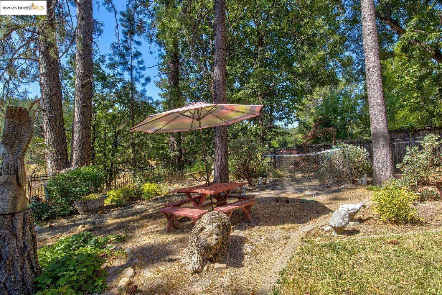 105 Avery Sheep Ranch Road Avery, CA 95224 - Photo 7 of 59 Gallery Image 7