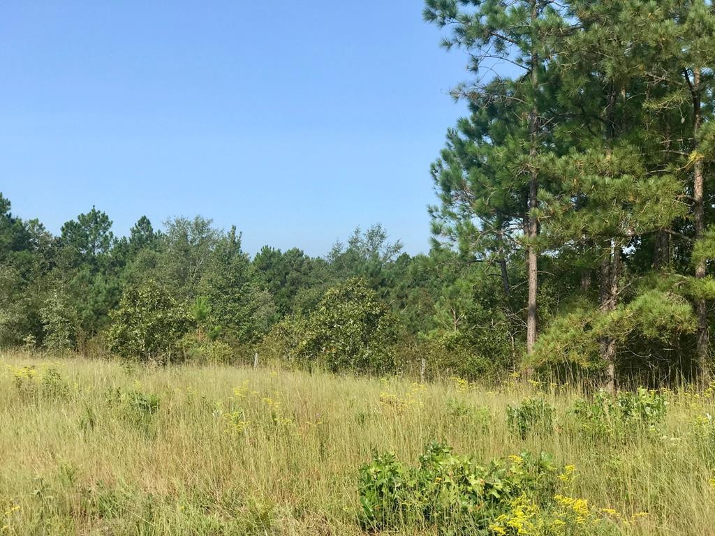 Lot#13-19 Holder Road Batesburg, SC 29006 - Photo 12 of 18