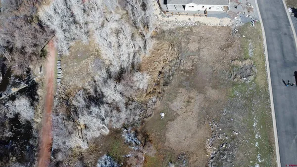 a view of a dry yard