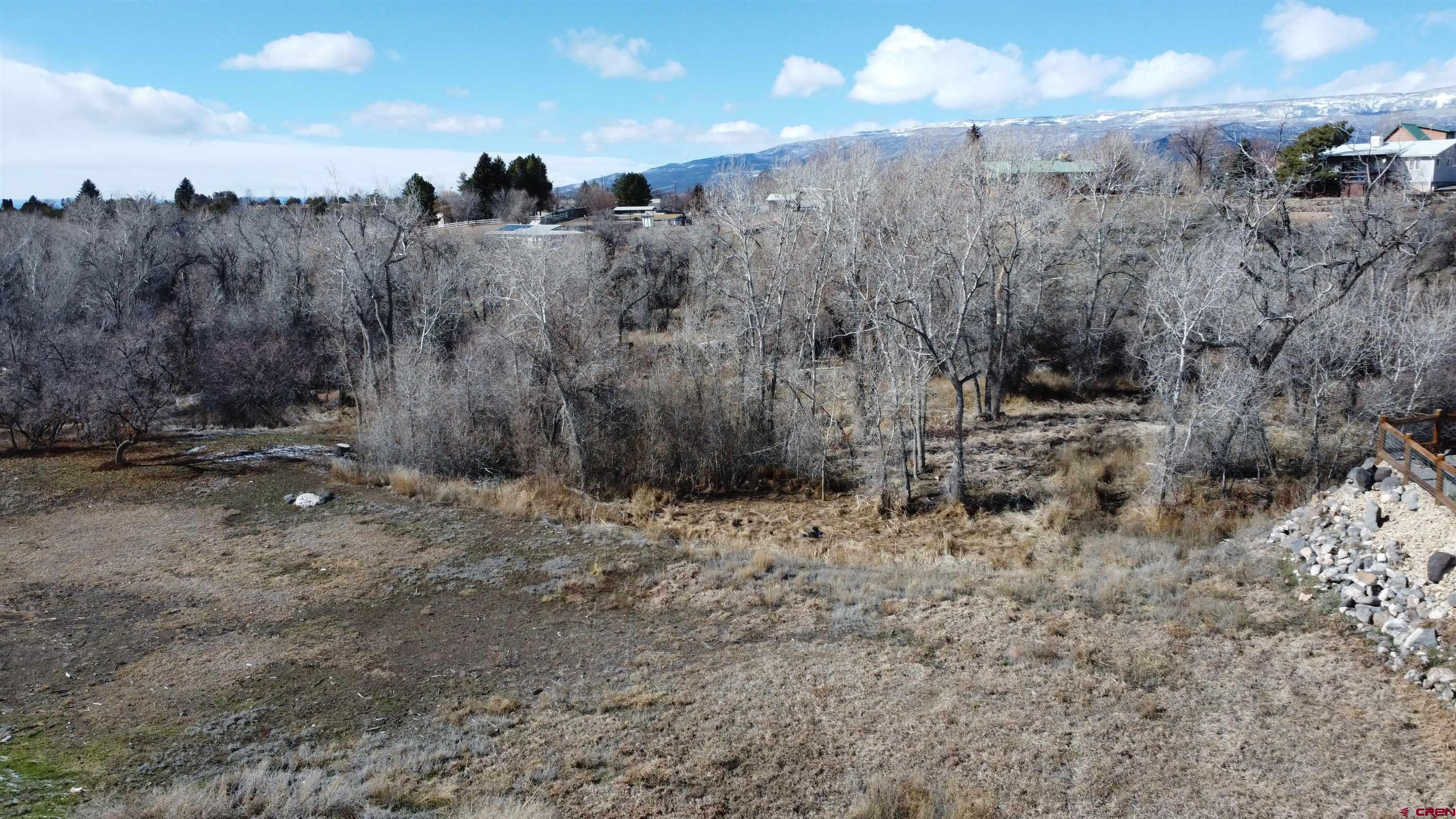 a view of a dry yard with trees all around