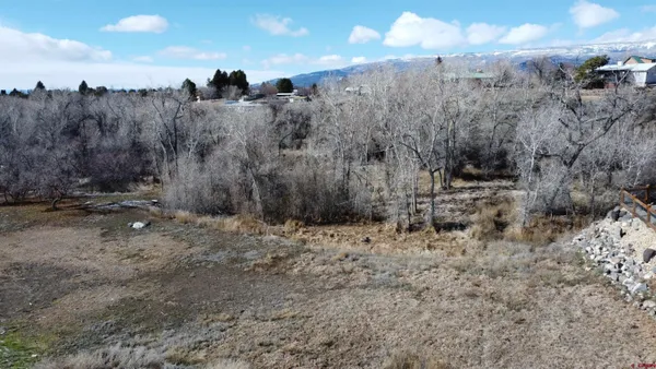 a view of a dry yard with trees all around