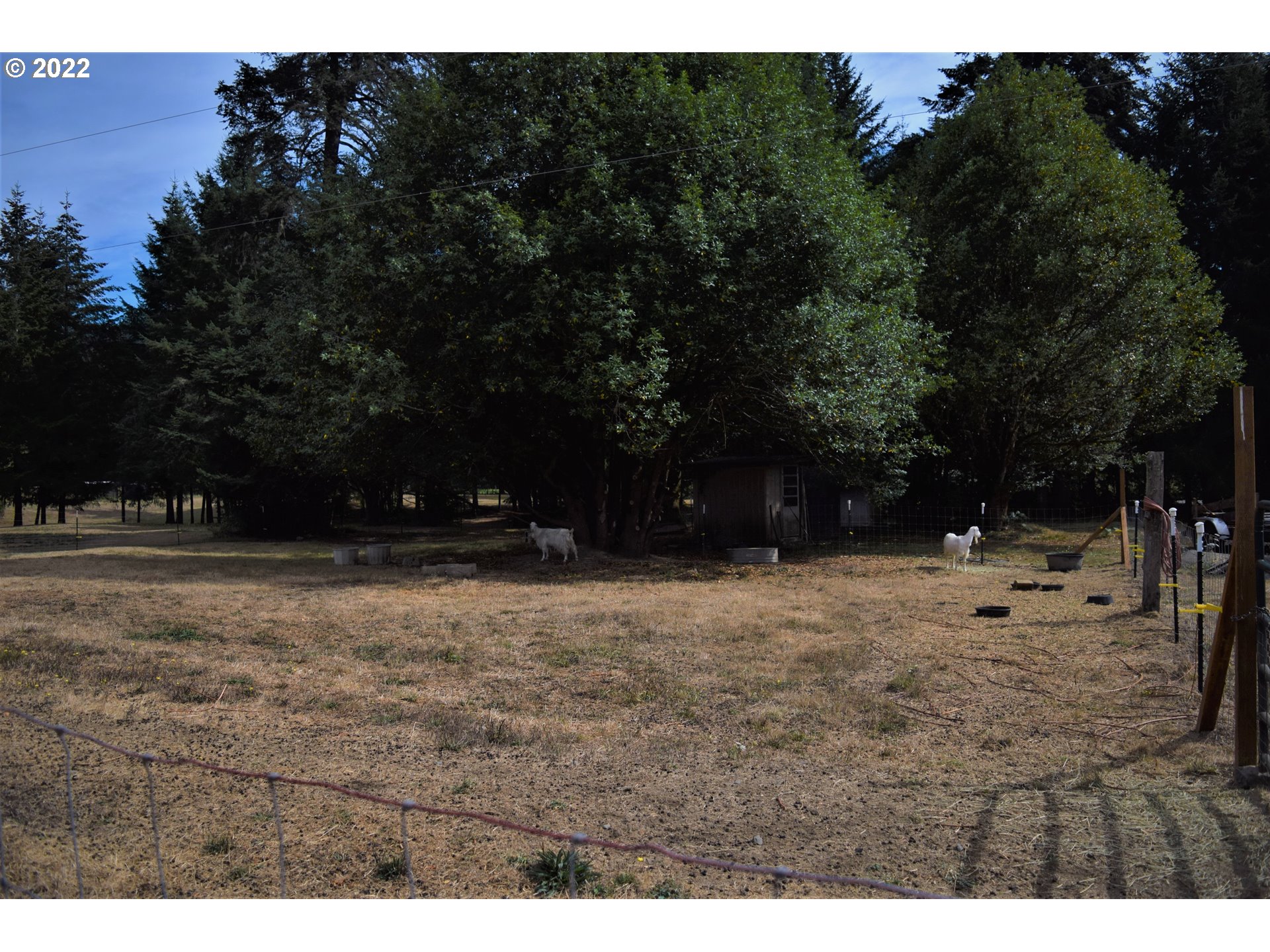 59672 Fairview Road Coquille, OR 97423 - Photo 30 of 32 Pasture