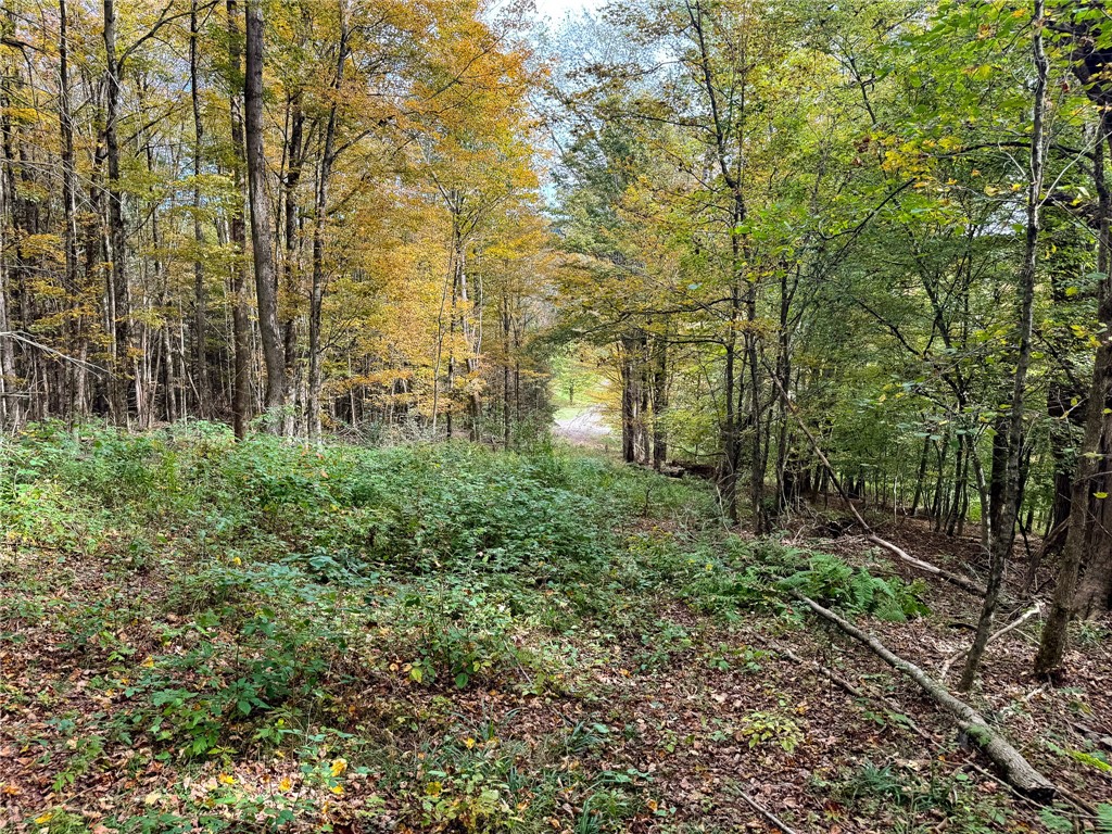 7465 Chappel Road Hamilton, NY 13346 - Photo 22 of 28