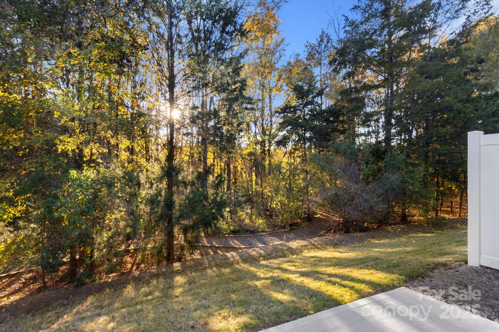 525 Hunters Dance Road Fort Mill, SC 29708 - Photo 24 of 28