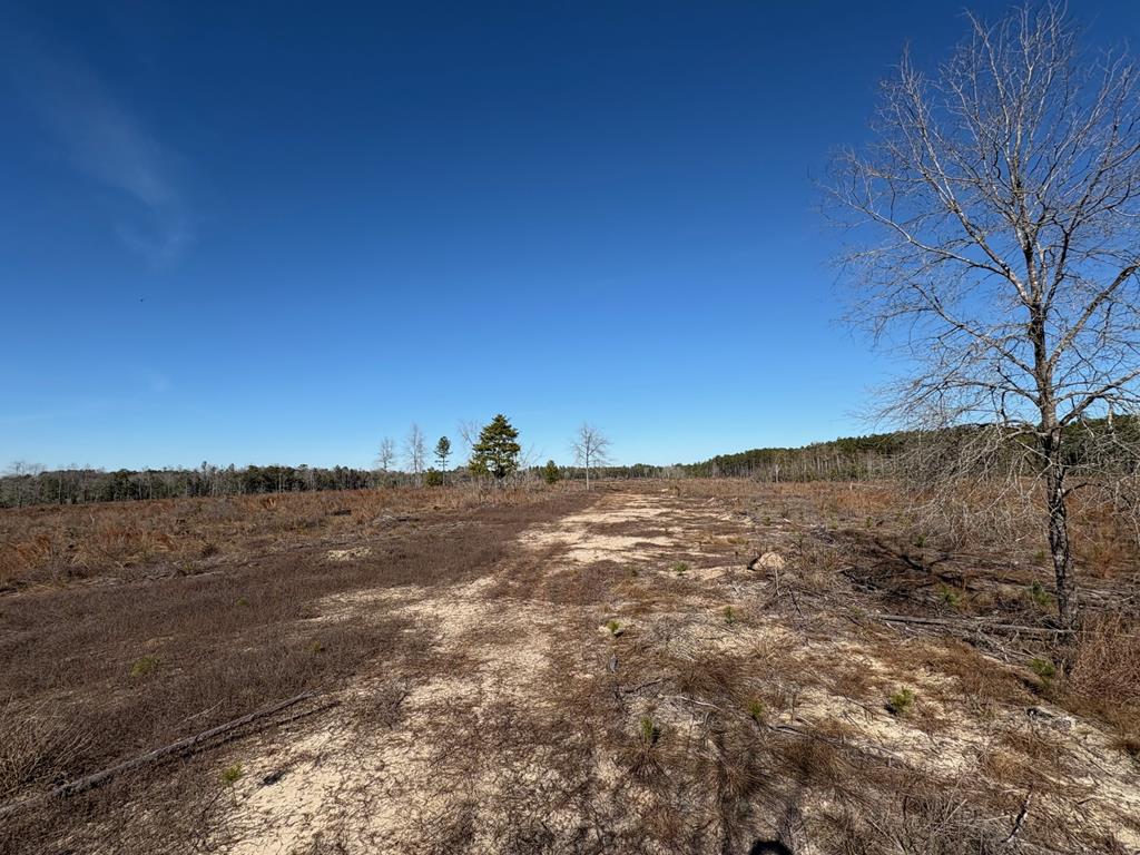 87 Samson Al Samson, AL 36477 - Photo 20 of 33