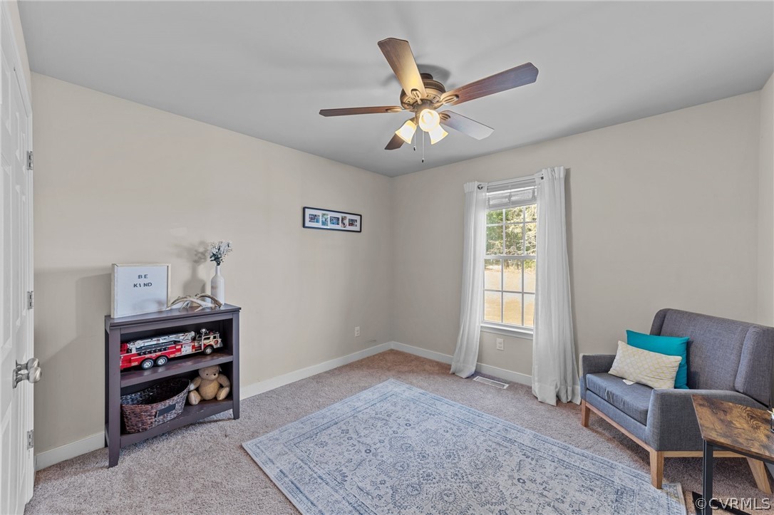15225 Loving Union Road Disputanta, VA 23842 - Photo 29 of 42 Gallery Image 29