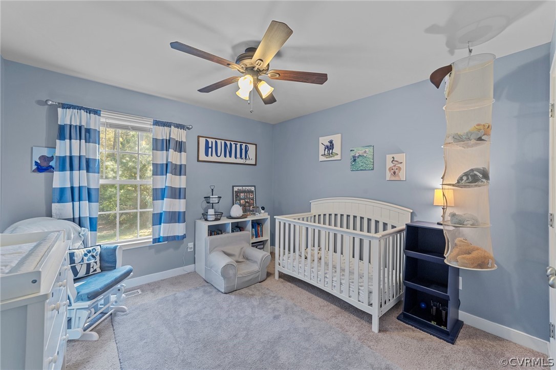15225 Loving Union Road Disputanta, VA 23842 - Photo 30 of 42 Gallery Image 30