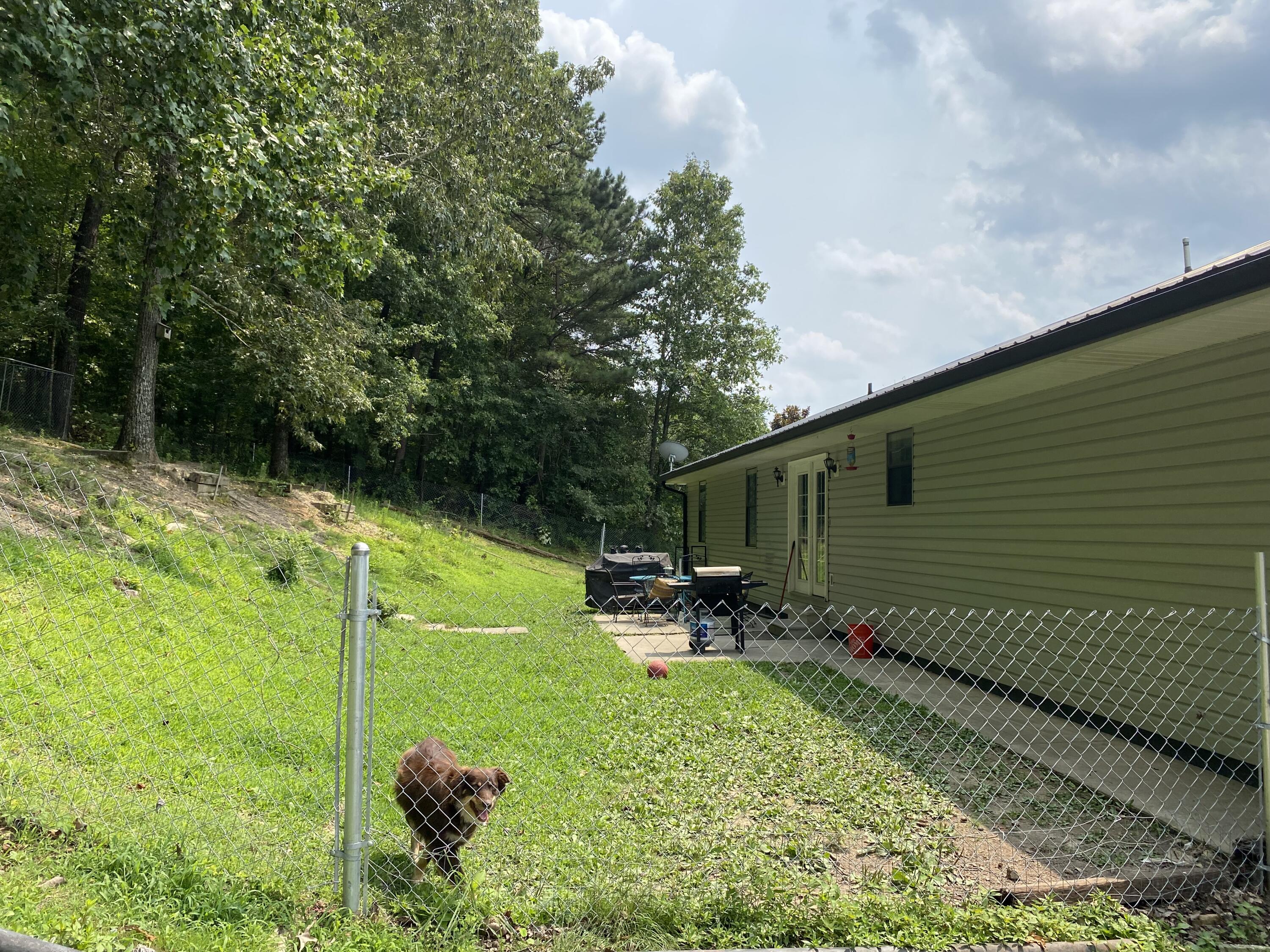 426 Bonifacious Road Tunnel Hill, GA 30755 - Photo 23 of 26 IMG-1708