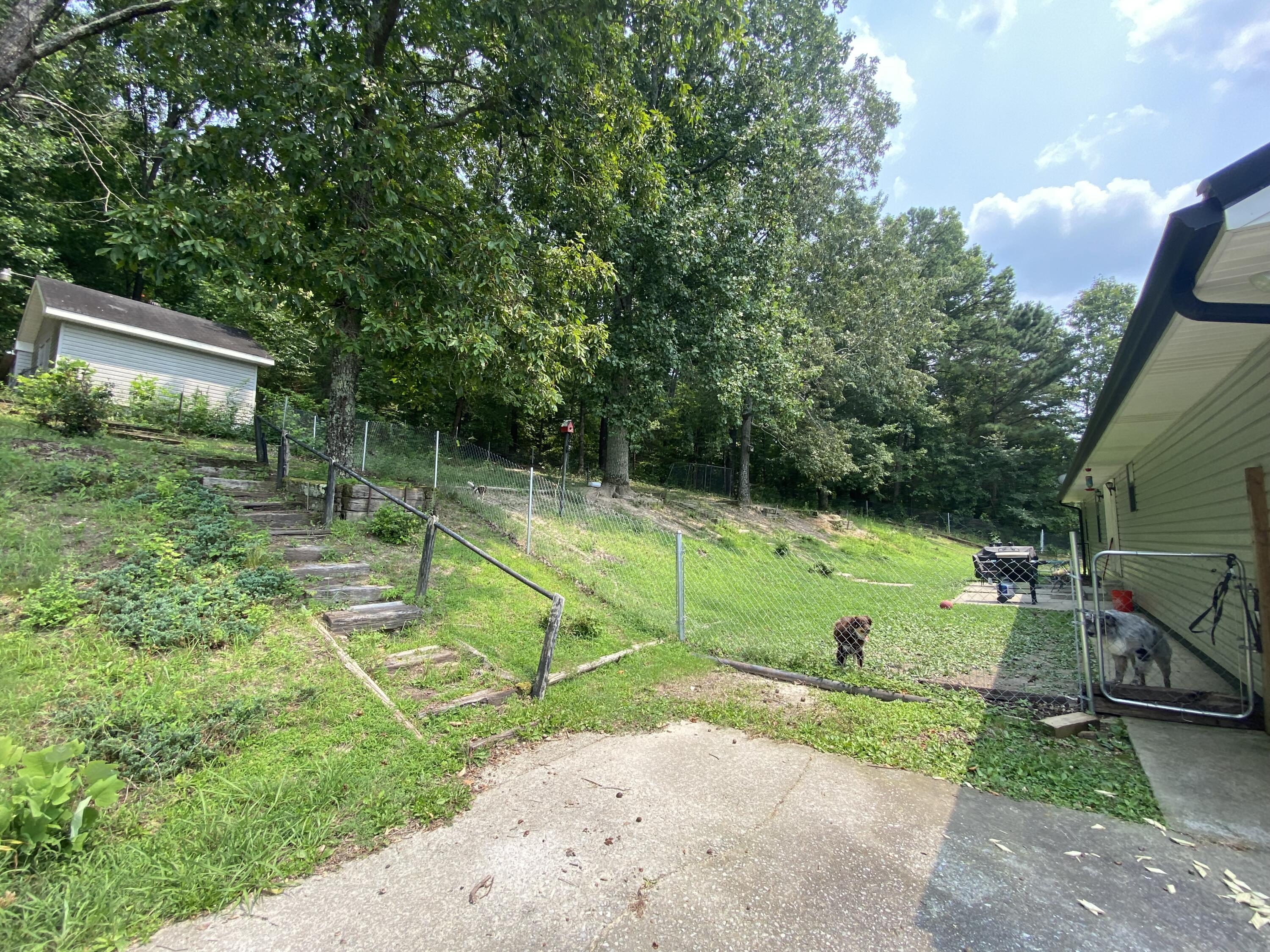 426 Bonifacious Road Tunnel Hill, GA 30755 - Photo 24 of 26 IMG-1706