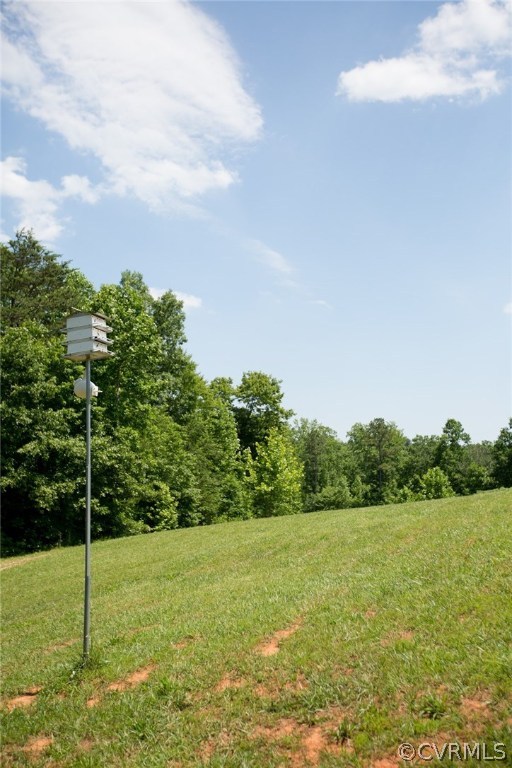 301 Slaughter Road Keysville, VA 23947 - Photo 42 of 50 a view of a garden with a tree