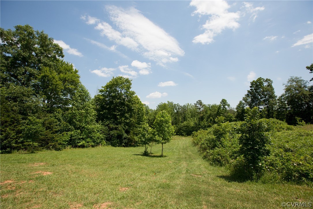 301 Slaughter Road Keysville, VA 23947 - Photo 43 of 50 a view of a big yard with swimming pool and garden