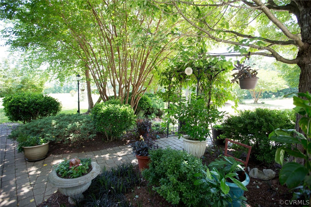 301 Slaughter Road Keysville, VA 23947 - Photo 6 of 50 a view of a garden with potted plants