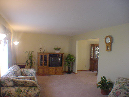 624 Pin Oak Road Rockton, IL 61072 - Photo 3 of 6 a living room with furniture and a fireplace