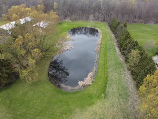 N5155 French Road Seymour, WI 54165 - Photo 53 of 59