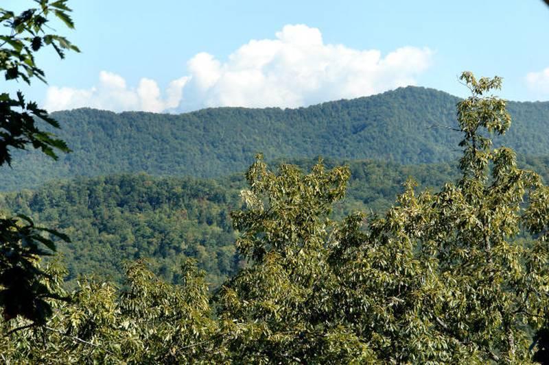 4714 Riversong Way Sevierville, TN 37876 - Photo 2 of 18 3415