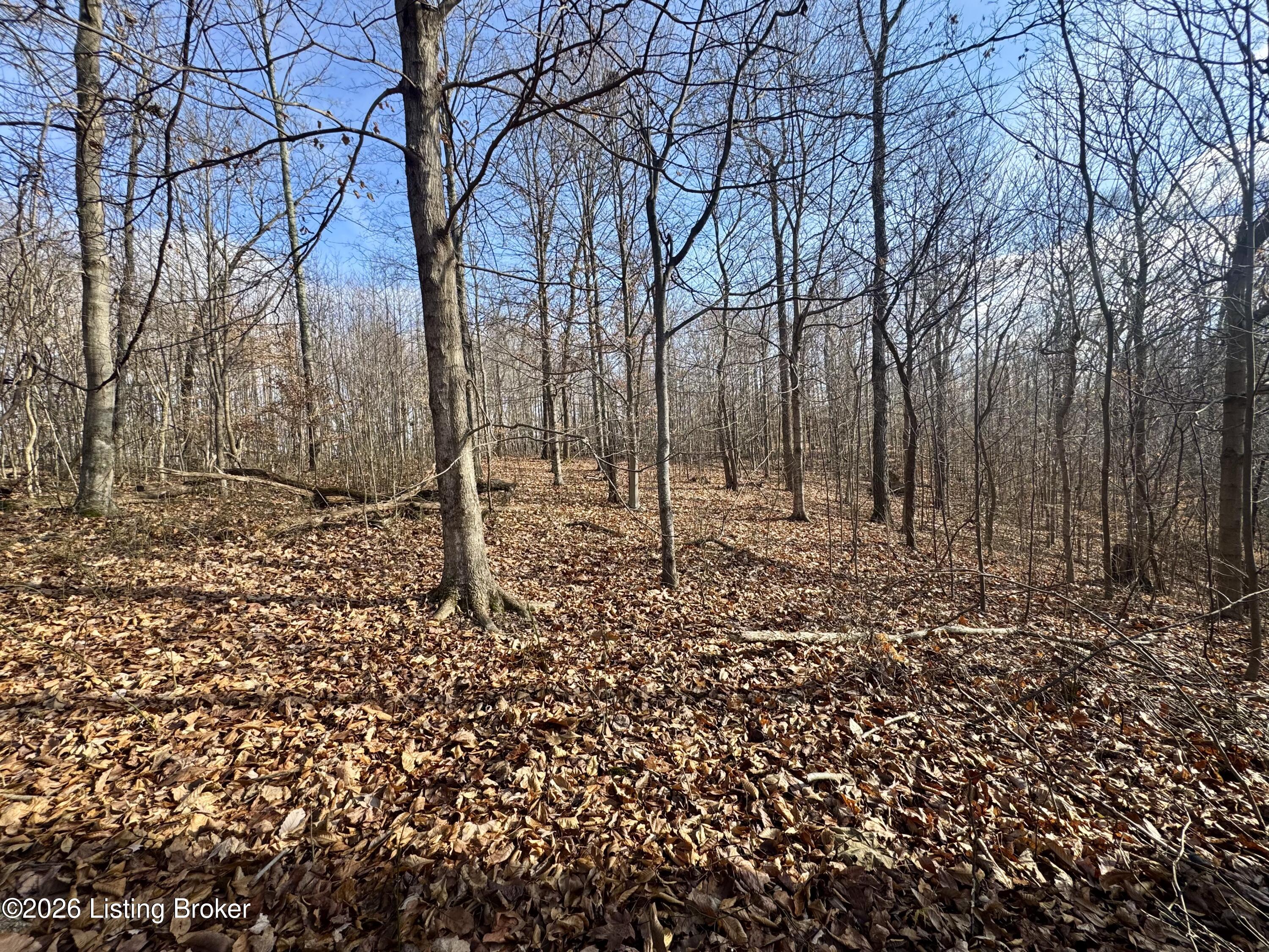 9-10 Winding Hollow Road Lebanon Junction, KY 40150 - Photo 34 of 43 PhotoNov302025,111325AM