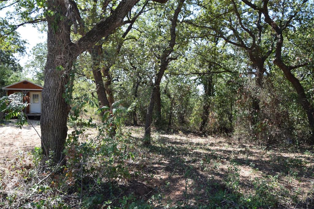0 Walnut Road Nocona, TX 76255 - Photo 2 of 7 a view of outdoor space with trees