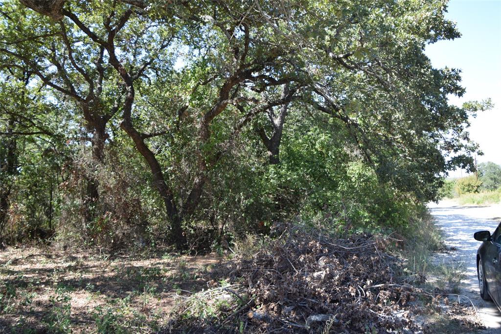 0 Walnut Road Nocona, TX 76255 - Photo 5 of 7 a view of a yard with a tree