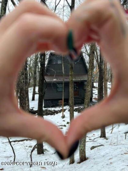 169 Saunders Drive Bushkill, PA 18324 - Photo 3 of 100 19