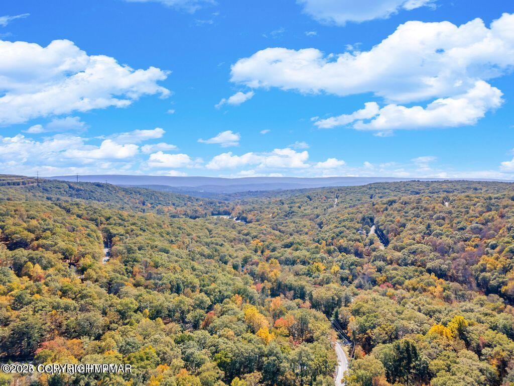 169 Saunders Drive Bushkill, PA 18324 - Photo 68 of 100 PM-112251_53