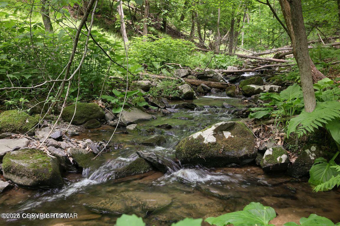 169 Saunders Drive Bushkill, PA 18324 - Photo 80 of 100 PM-112251_64